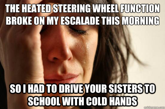 the heated steering wheel function broke on my escalade this - First World Problems