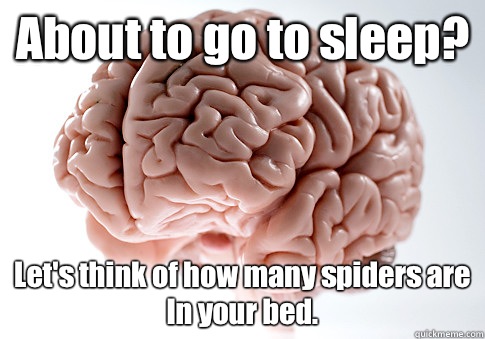 About to go to sleep Lets think of how many spiders are In y - Scumbag Brain