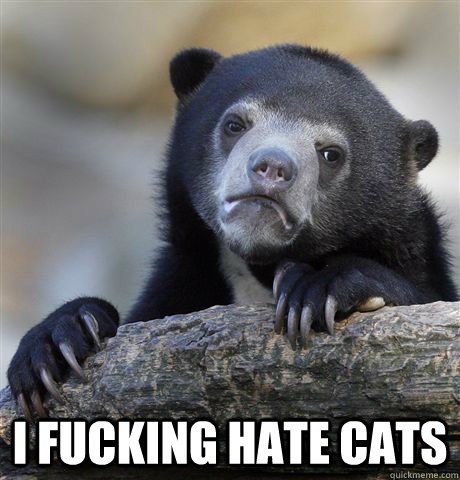 i fucking hate cats - Confession Bear