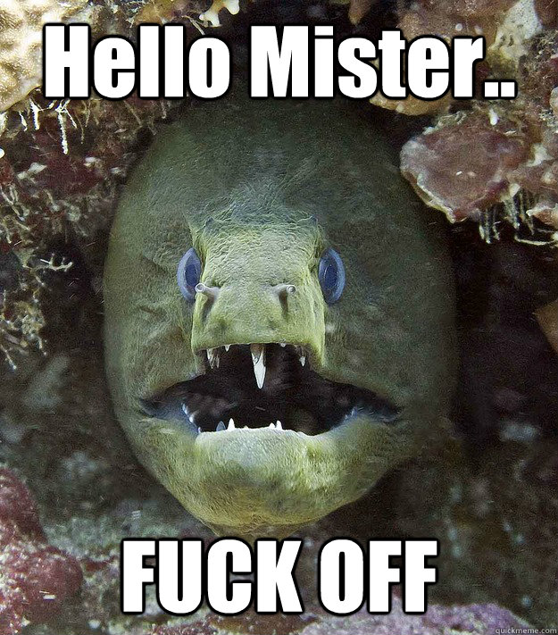 hello mister fuck off - mrfuckoff