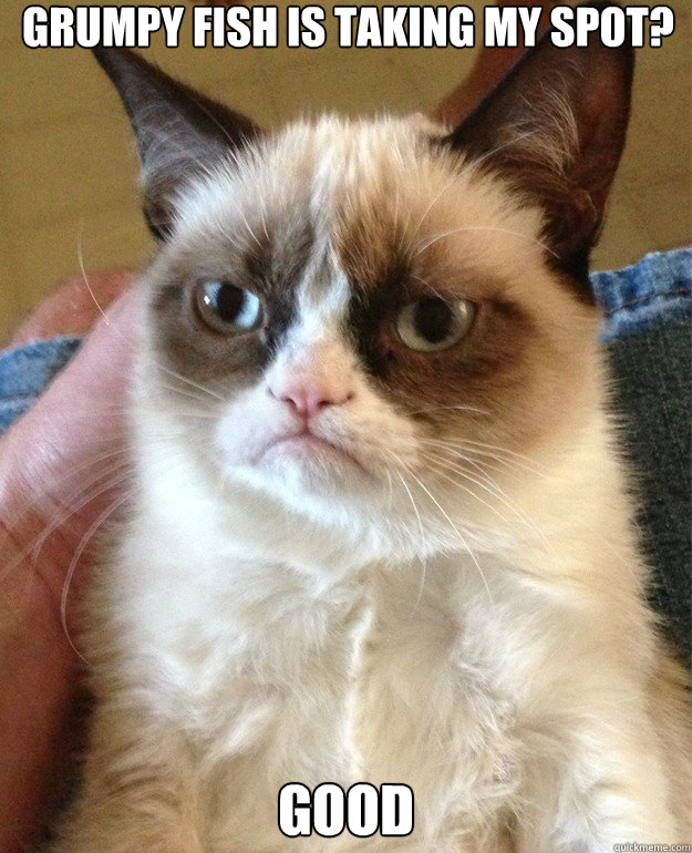 grumpy fish is taking my spot good - Grumpy Cat