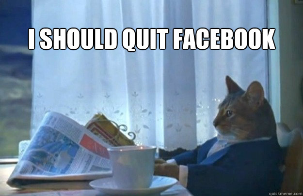 i should quit facebook - Sophisticated Cat