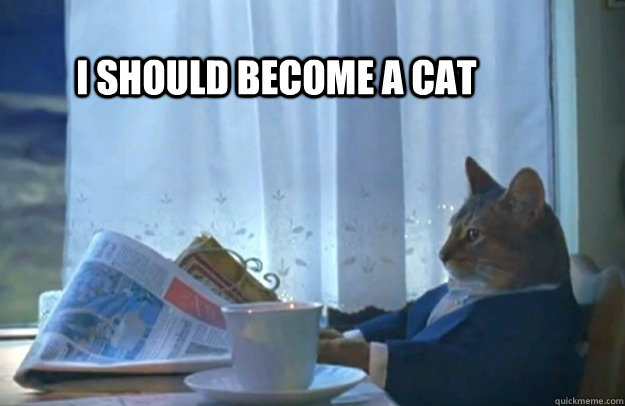 i should become a cat - Sophisticated Cat