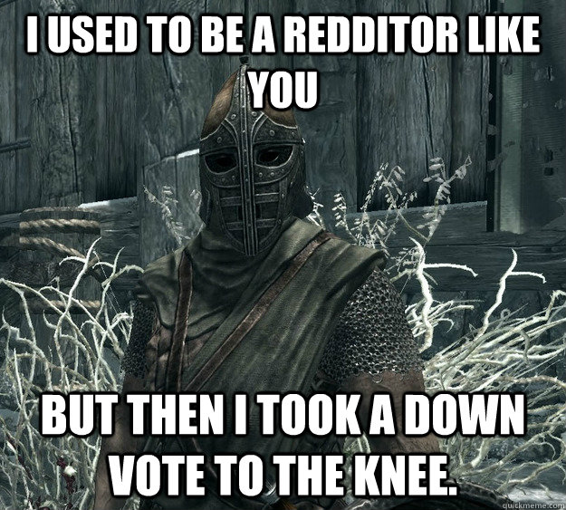 i used to be a redditor like you but then i took a down vote - Skyrim Guard