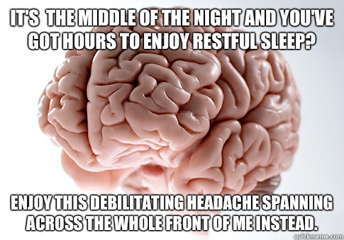 Its the middle of the night and youve got hours to enjoy res - Scumbag Brain