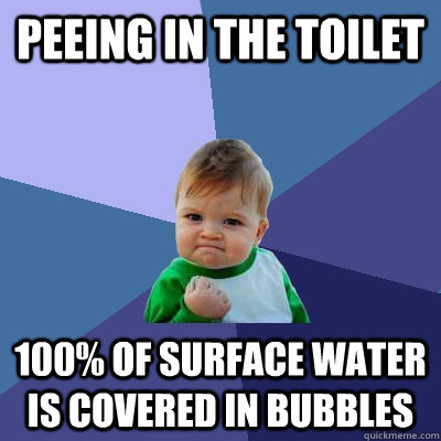 peeing in the toilet 100 of surface water is covered in bub - Success Kid