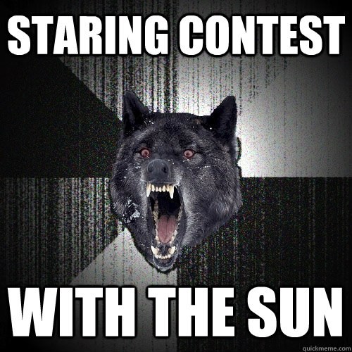 staring contest with the sun - Insanity Wolf