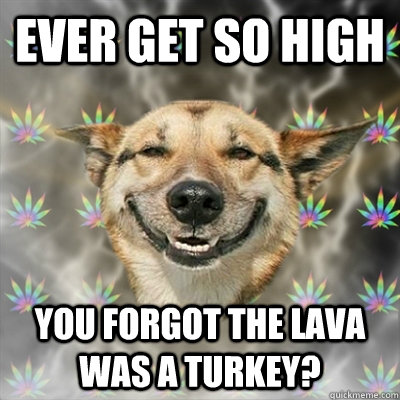 ever get so high you forgot the lava was a turkey - Stoner Dog