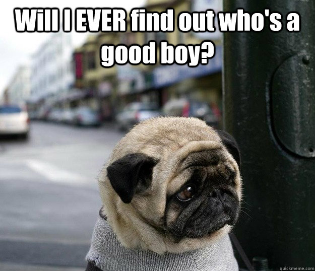 will i ever find out whos a good boy - Depressed dog