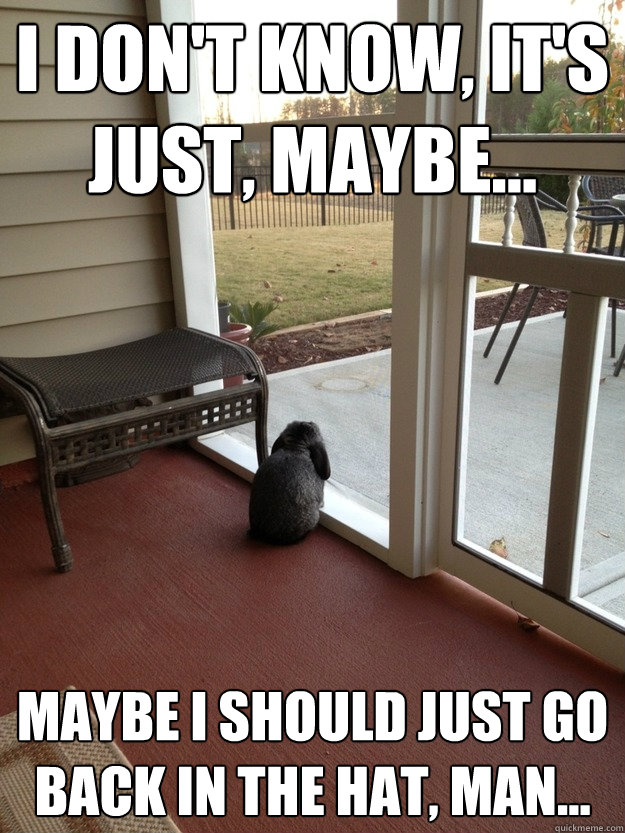 i dont know its just maybe maybe i should just go bac - Facing Reality Bunny