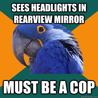 sees headlights in rearview mirror must be a cop - Paranoid Parrot