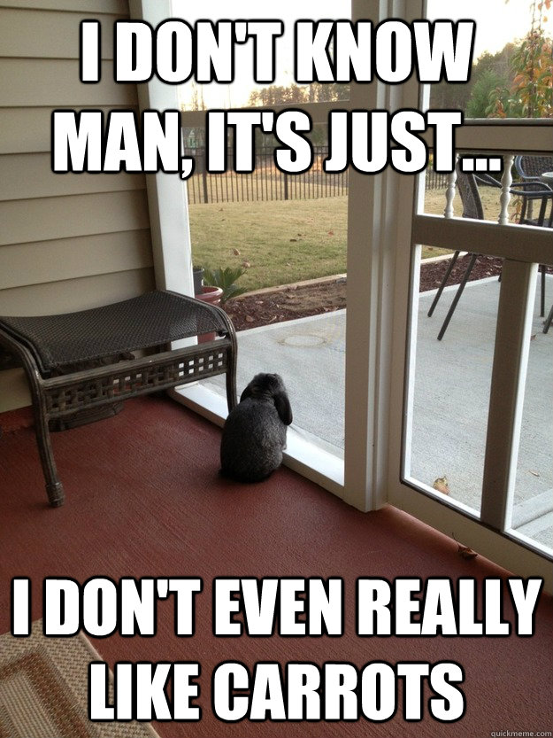 i dont know man its just i dont even really like carr - Facing Reality Bunny