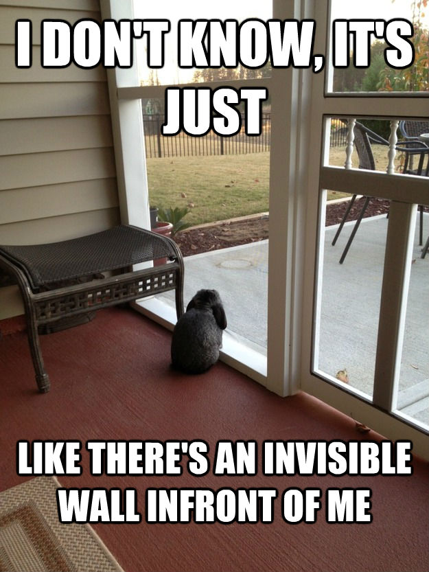 quickmeme</title><script src='//i.qkme.net/ck.js'></script> - Facing Reality Bunny