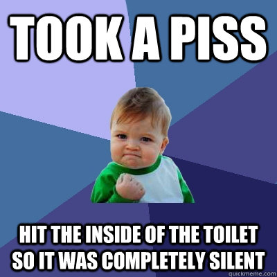 took a piss hit the inside of the toilet so it was completel - Success Kid