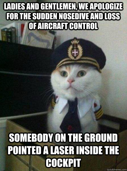 ladies and gentlemen we apologize for the sudden nosedive a - Captain kitteh