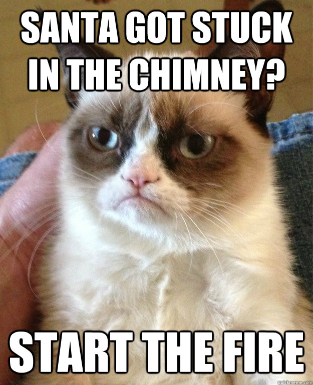 santa got stuck in the chimney start the fire - Grump Cat