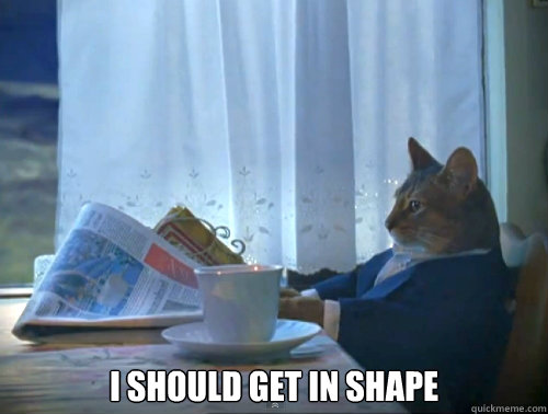 i should get in shape - The One Percent Cat