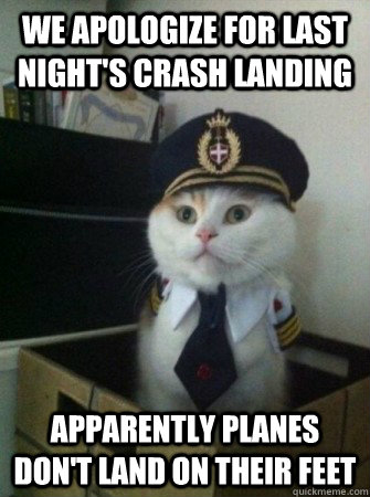 we apologize for last nights crash landing apparently plan - captain kitty
