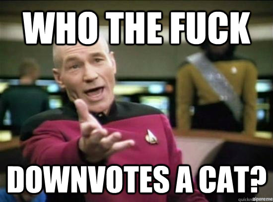 who the fuck downvotes a cat - Annoyed Picard HD