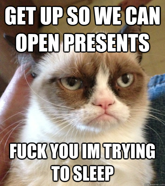 get up so we can open presents fuck you im trying to sleep - Grumpy Cat