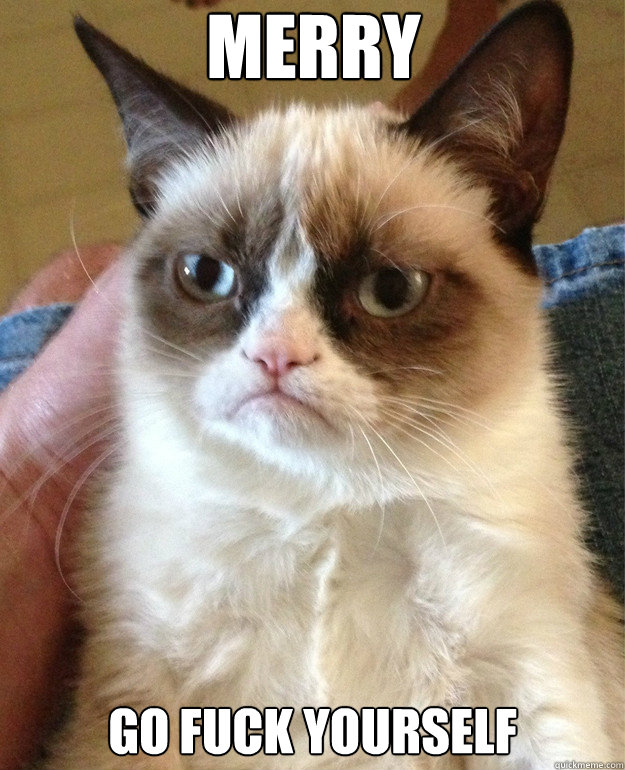 merry go fuck yourself - Grumpy Cat