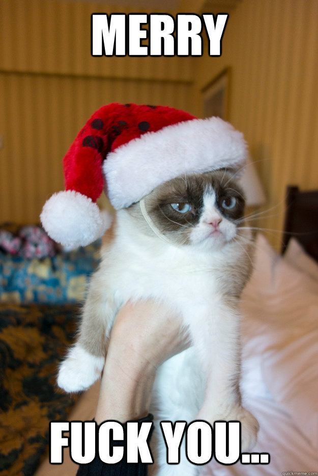 merry fuck you - Grumpy xmas