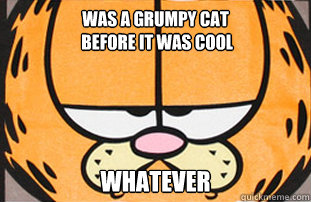 was a grumpy cat before it was cool whatever -