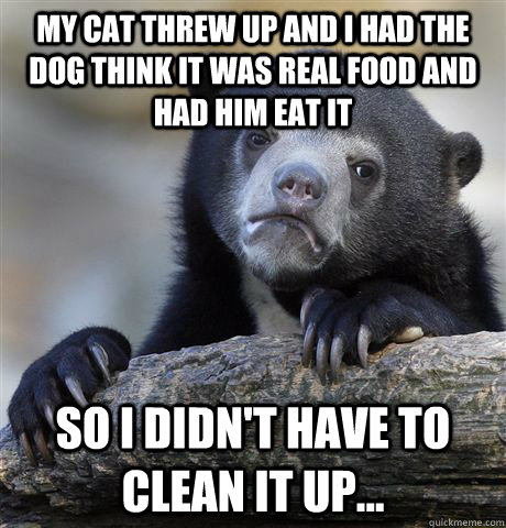 my cat threw up and i had the dog think it was real food and - Confession Bear