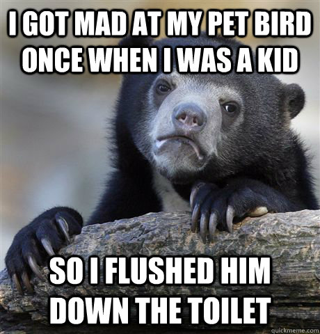i got mad at my pet bird once when i was a kid so i flushed - Confession Bear
