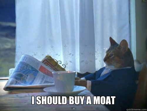 i should buy a moat - The One Percent Cat