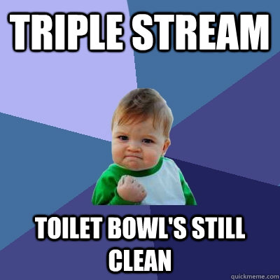 triple stream toilet bowls still clean - Success Kid