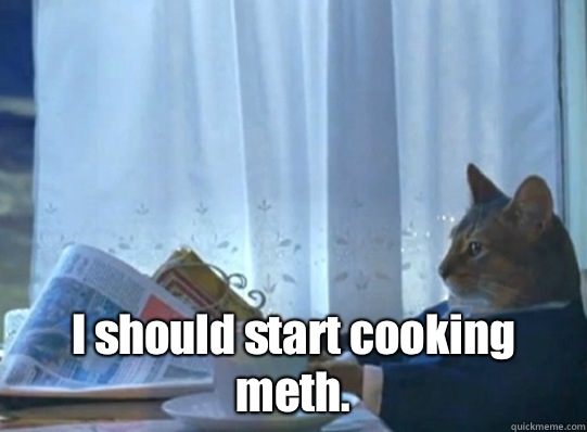 I should start cooking meth - Sophisticated cat