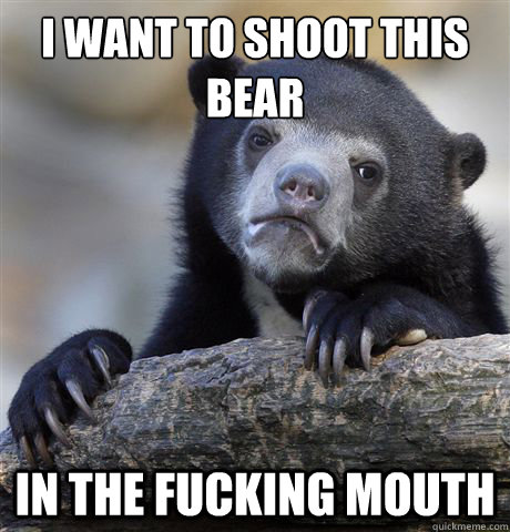 i want to shoot this bear in the fucking mouth - Confession Bear