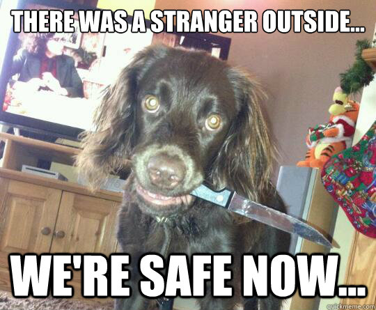 there was a stranger outside were safe now - Overly Protective Dog