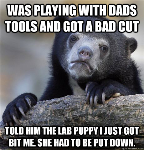 was playing with dads tools and got a bad cut told him the l - Confession Bear