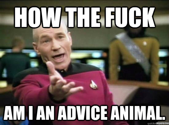 how the fuck am i an advice animal - Annoyed Picard HD