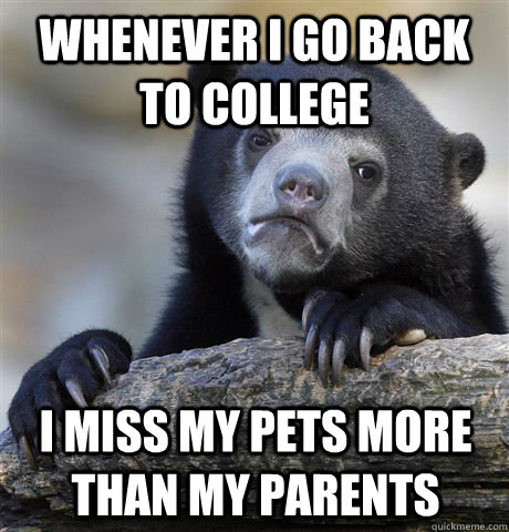 whenever i go back to college i miss my pets more than my p - Confession Bear