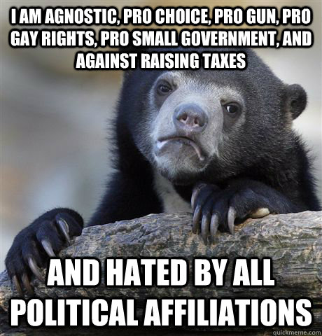 i am agnostic pro choice pro gun pro gay rights pro smal - Confession Bear