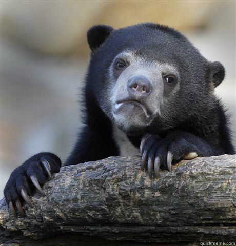 60 - Confession Bear
