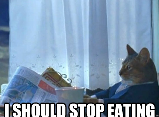 i should stop eating - Sophisticated cat