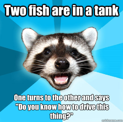 two fish are in a tank one turns to the other and says do - Lame Pun Coon