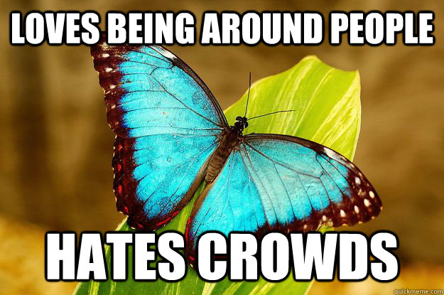 loves being around people hates crowds -