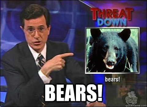 bears - Stephen Colbert