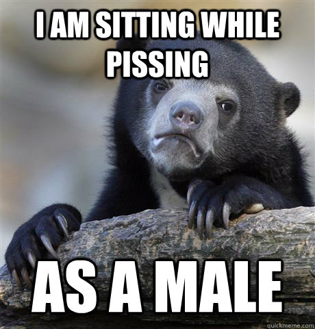 i am sitting while pissing as a male - Confession Bear
