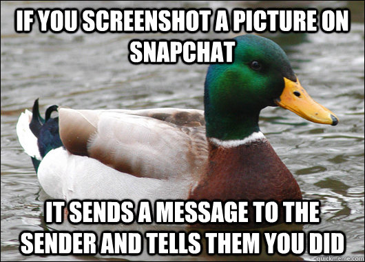 if you screenshot a picture on snapchat it sends a message t - Actual Advice Mallard