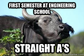 first semester at engineering school straight as - Braggart Buffalo