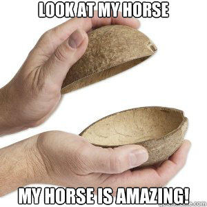 look at my horse my horse is amazing - Python Horse