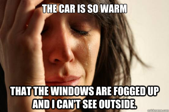 the car is so warm that the windows are fogged up and i can - First World Problems