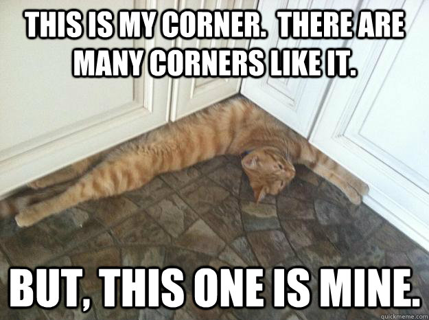 this is my corner there are many corners like it but th - Corner Cat