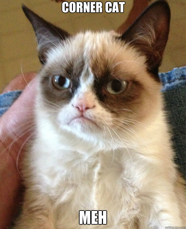 corner cat meh - Grumpy Cat
